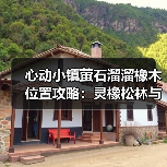 心动小镇萤石溜溜橡木位置攻略:灵橡松林与4号家园必收点(图3) 心动小镇萤石溜溜橡木位置攻略:灵橡松林与4号家园必收点(图3)