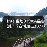 Intel锐炫B390集显实测：《赛博朋克2077》超80FPS - 文章配图