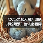 《火炬之光无限》组队掉线频繁?猎人必看网络优化攻略(图3) 《火炬之光无限》组队掉线频繁?猎人必看网络优化攻略(图3)