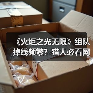 《火炬之光无限》组队掉线频繁?猎人必看网络优化攻略(图4) 《火炬之光无限》组队掉线频繁?猎人必看网络优化攻略(图4)