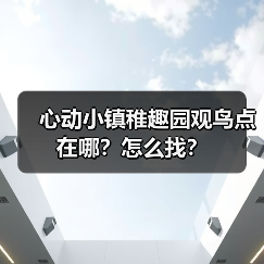 心动小镇稚趣园观鸟点在哪?怎么找?(图2) 心动小镇稚趣园观鸟点在哪?怎么找?(图2)